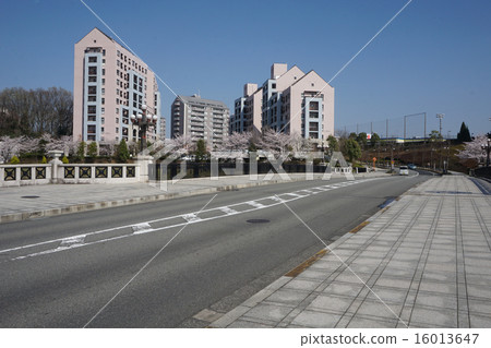 Hachioji Municipal Higashike Park 16013647