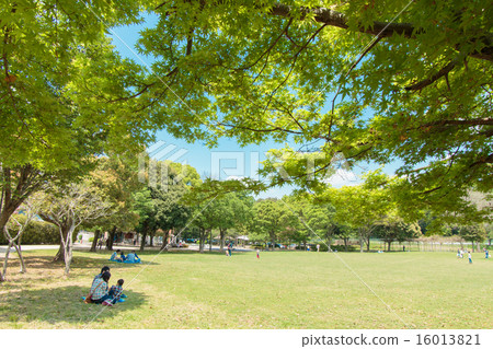 新鮮的綠色Menum自然公園 16013821