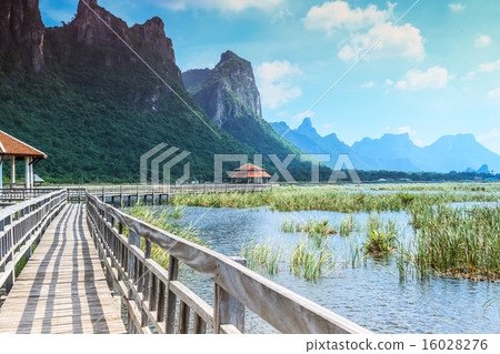 Wooden bridge and lake Wooden bridge and lake 16028276