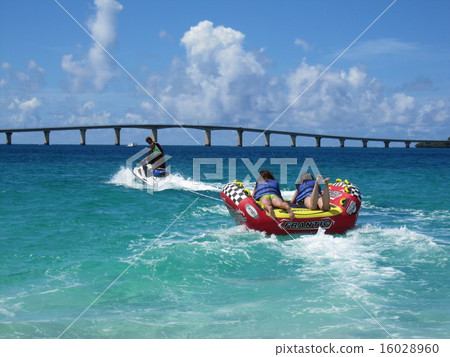 在海邊玩耍 在海邊玩耍 16028960