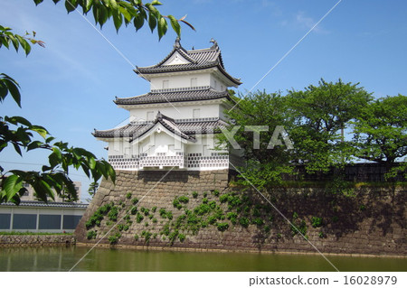 Shibata castle fresh green 16028979