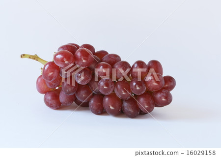 葡萄 16029158