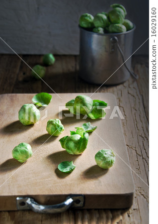 Still life of fresh green Brussels sprouts in a me Still life of fresh green Brussels sprouts in a me 16029160