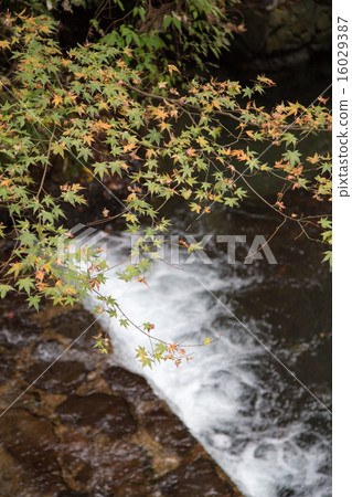 秋葉和Mitarishi河Kuramado高速公路 16029387