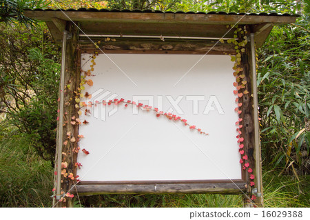 在秋葉的Kuramado高速公路，Yuki與常春藤秋葉的公告板 16029388