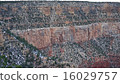 Grand Canyon  16029757