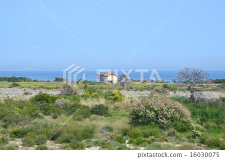 A beachfront farmhouse in the basilicata state of the arch of the Italian peninsula A beachfront farmhouse in the basilicata state of the arch of the Italian peninsula 16030075