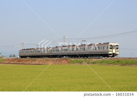 Line 107 going with both cape lines Line 107 going with both cape lines 16031034