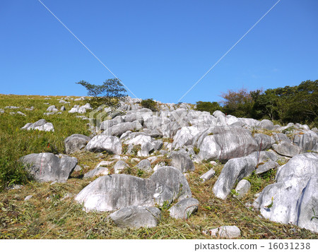 從登山福山縣的Susanama登山的風景 16031238