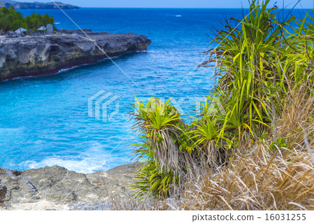 Tropical coastline. 16031255