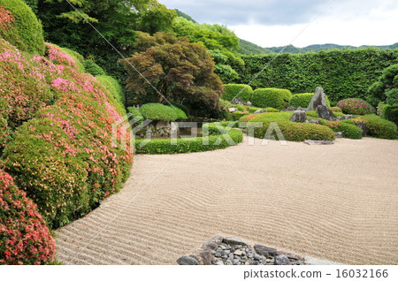 【瀨戶內33觀音聖地】岡山縣高橋市6月杜鵑花盛開的庭園綠寺13 16032166