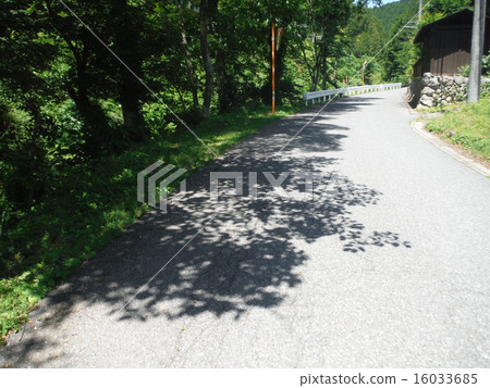 Spring path 16033685