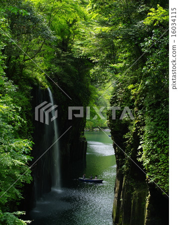 高千穗的初夏 16034115