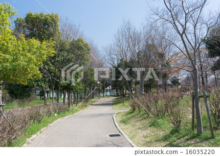 Hanafu Memorial Park Tsurumi-ku Green path 16035220
