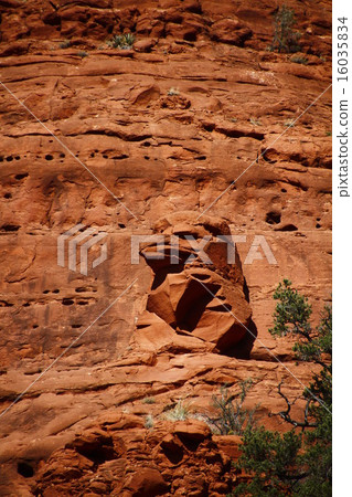 Power Spot精神Sedona癒合美國路 Power Spot精神Sedona癒合美國路 16035834