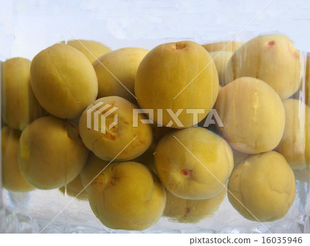 Plum wine making 16035946