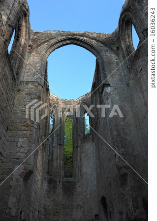 Ruins of a monastery in Oybin, Germany 16036243