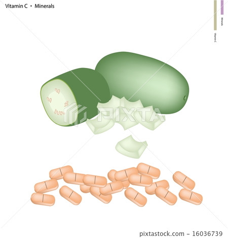 Wax Gourd with Vitamin C and Minerals 16036739