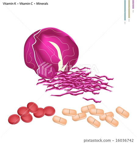 Red Cabbage with Vitamin K and Vitamin C 16036742