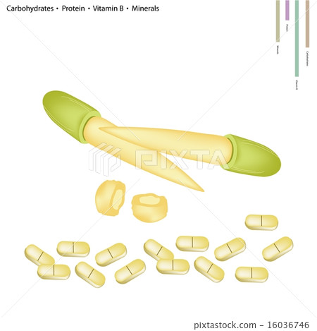Baby Corn with Vitamin B and Minerals Baby Corn with Vitamin B and Minerals 16036746