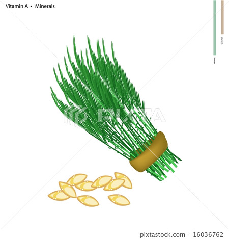 Acacia Pennata with Vitamin A and Minerals 16036762