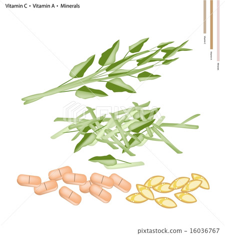 Water Spinach with Vitamin C and A Water Spinach with Vitamin C and A 16036767