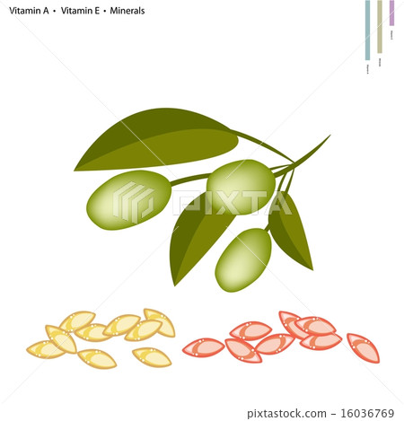 Green Olives with Vitamin A, E and Minerals 16036769