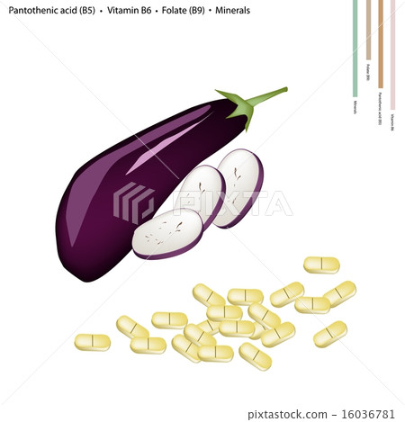 Eggplant with Vitamin B5, B6 and B9 Eggplant with Vitamin B5, B6 and B9 16036781
