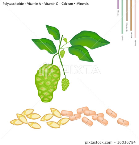 Noni or Morinda Citrifolia with Vitamin A, C 16036784