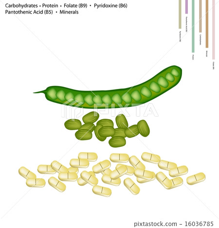 Twisted Cluster Bean with Vitamin B9, B6 and B5 16036785