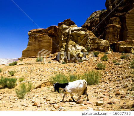 Beautiful red rock formations in Petra Beautiful red rock formations in Petra 16037723
