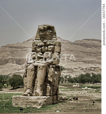 colossi of memnon gigantic statues in Luxor Egypt colossi of memnon gigantic statues in Luxor Egypt 16037764