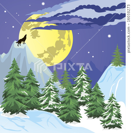 Night winter forest scene 16038273