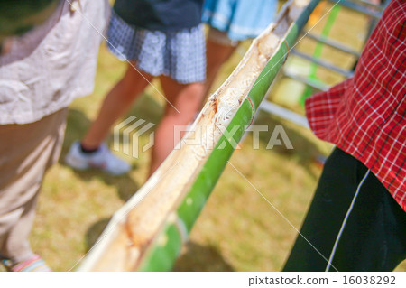 流動麺 流動麺 16038292