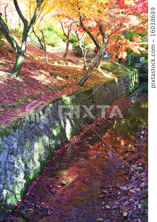 Konohakuji in Kyoto 16038689