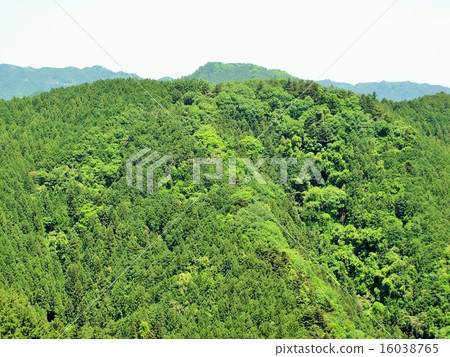 Mountain of June 16038765
