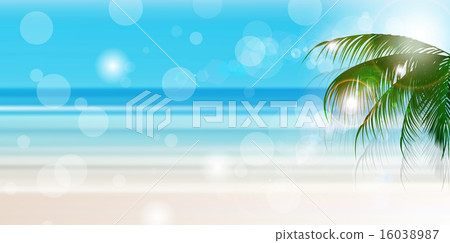 海棕櫚背景 16038987