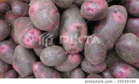 Andean red (potato) Andean red (potato) 16039140