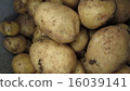 Potato Yuka (Potato) 16039141