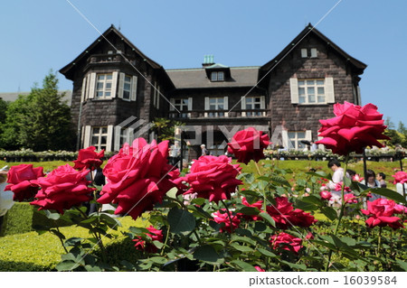 羅斯開花的老Furukawa庭院 羅斯開花的老Furukawa庭院 16039584