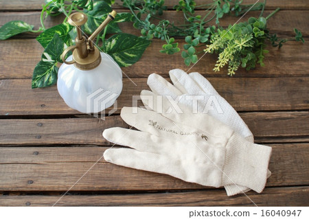 Stylish gardening gloves and artificial flowers Gardening image 16040947