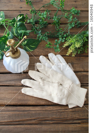 Stylish gardening gloves and artificial flowers Gardening image 16040948