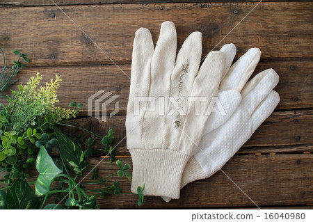 Stylish gardening gloves and artificial flowers Gardening image 16040980