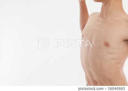 muscle muscle 16040983