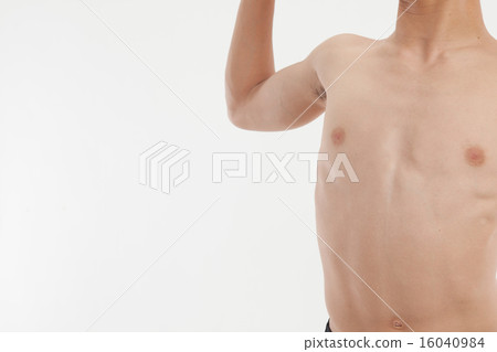 muscle muscle 16040984