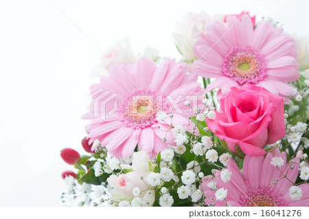 Pink color arrangement Pink color arrangement 16041276