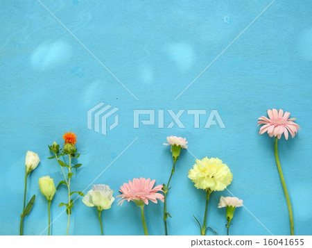 花卉圖案 16041655