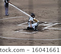 棒球 16041661