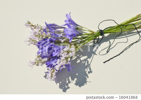 Bouquet of Tetelea and Pink lavender 16041868