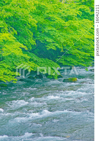 Fresh green stream 16042211